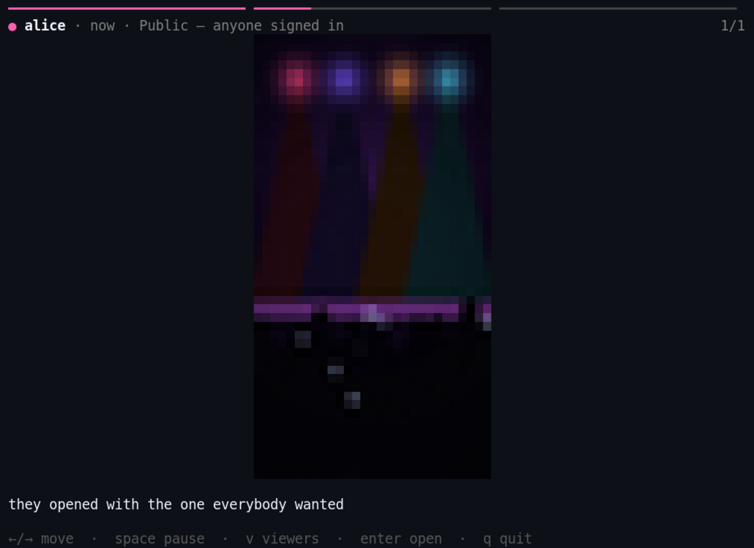 A terminal window showing gh stories rendering a photo inline, with progress segments and a caption.